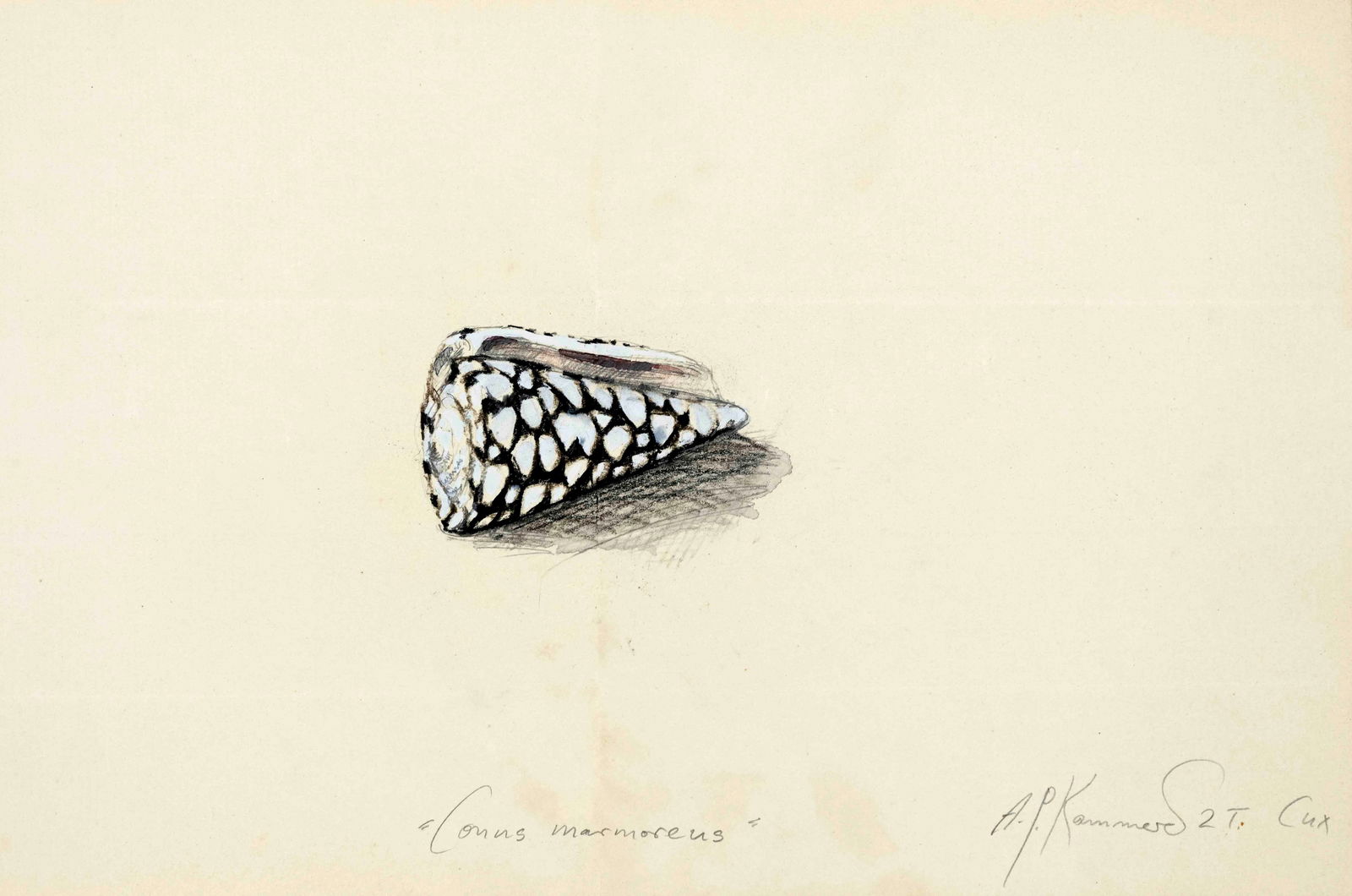 Anton Paul Kammerer (1954-2021), Germa (1 of 3)