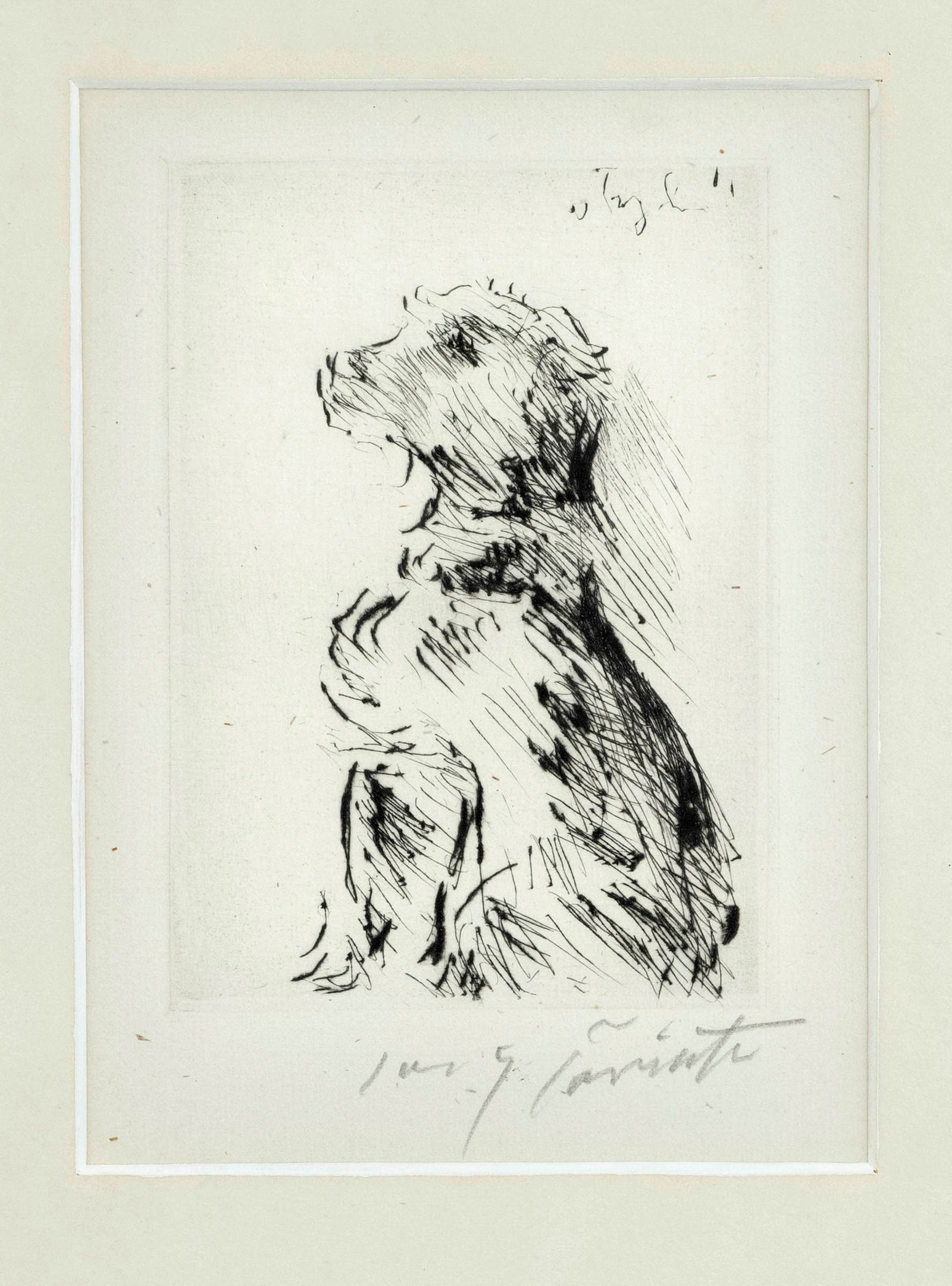 Lovis Corinth (1858-1925), sitting dog: Lovis Corinth (1858-1925), sitting dog, rare etching with drypoint on copperplate paper, signed lower right, indistinctly inscribed in the plate upper right, 13.5 x 9.5 cm, matted and framed behind gl