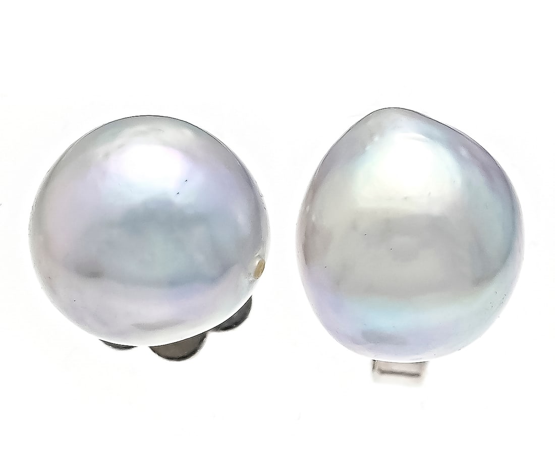 Pearl stud earrings WG 585/000 wi: Pearl stud earrings WG 585/000 with 2 silver-grey cultured pearls 7 mm, 2.0 g