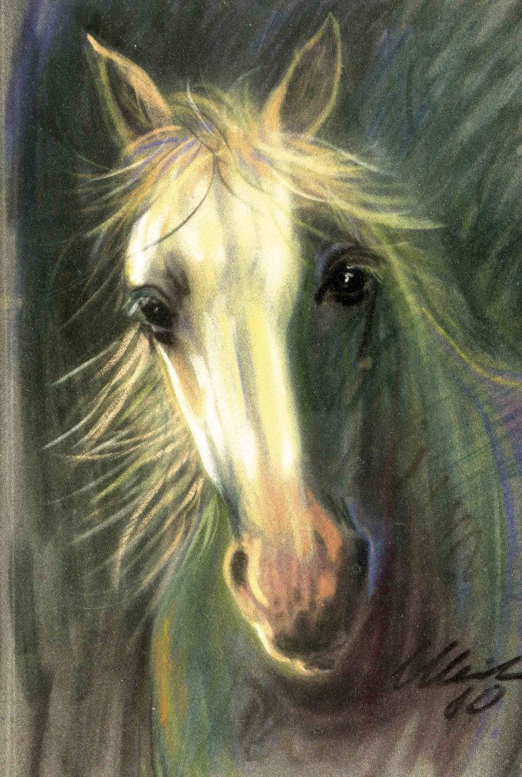 Annemarie Meilchen, Neusser Tiermalerin, 2. H. 20. Jh.,: Annemarie Meilchen, Neusser Tiermalerin, 2. H. 20. Jh., Der weiße Hengst en face, Pastell, u. re. sign. u. dat. (19)80, 40,5 x 27,5 cm, Rahmen