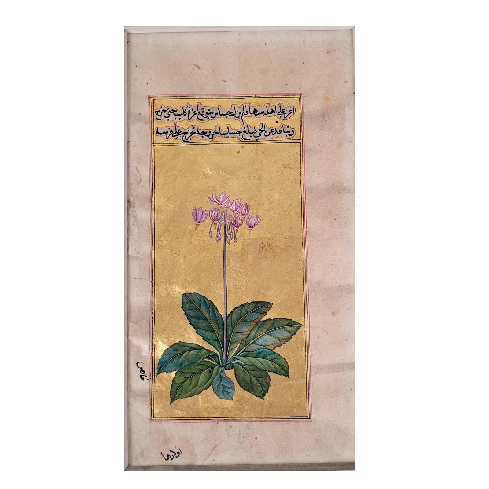 Persian Illuminated Botanical Manuscript Leaf (1 of 3)