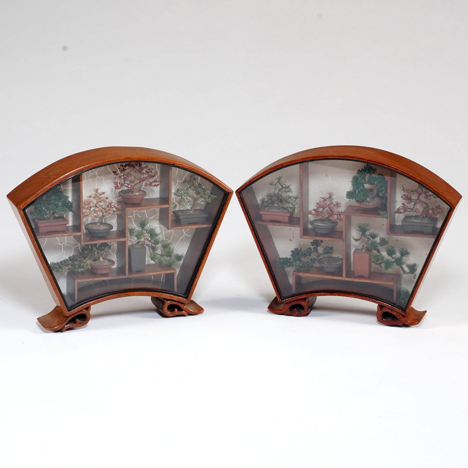 Pair of Fan-Form Bonsai Shadow Box Displays (1 of 2)