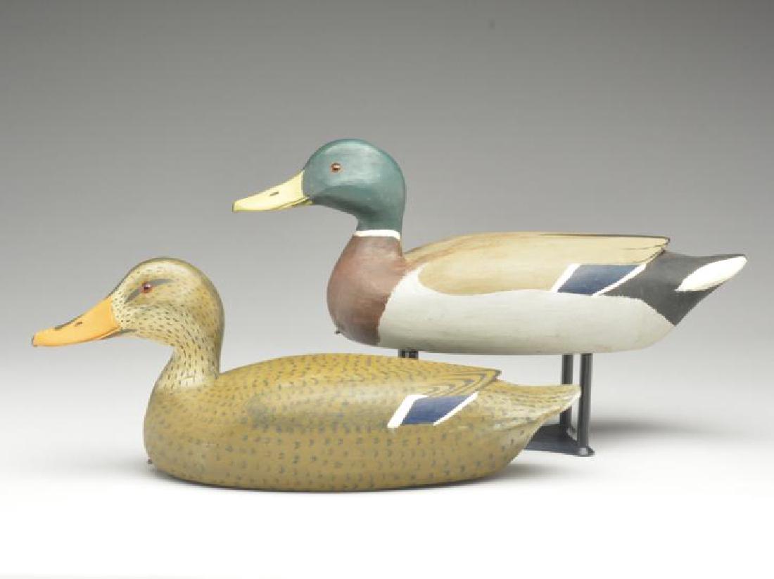 Rigmate pair of mallards, Reme Roussell, Graceland, (1 of 1)