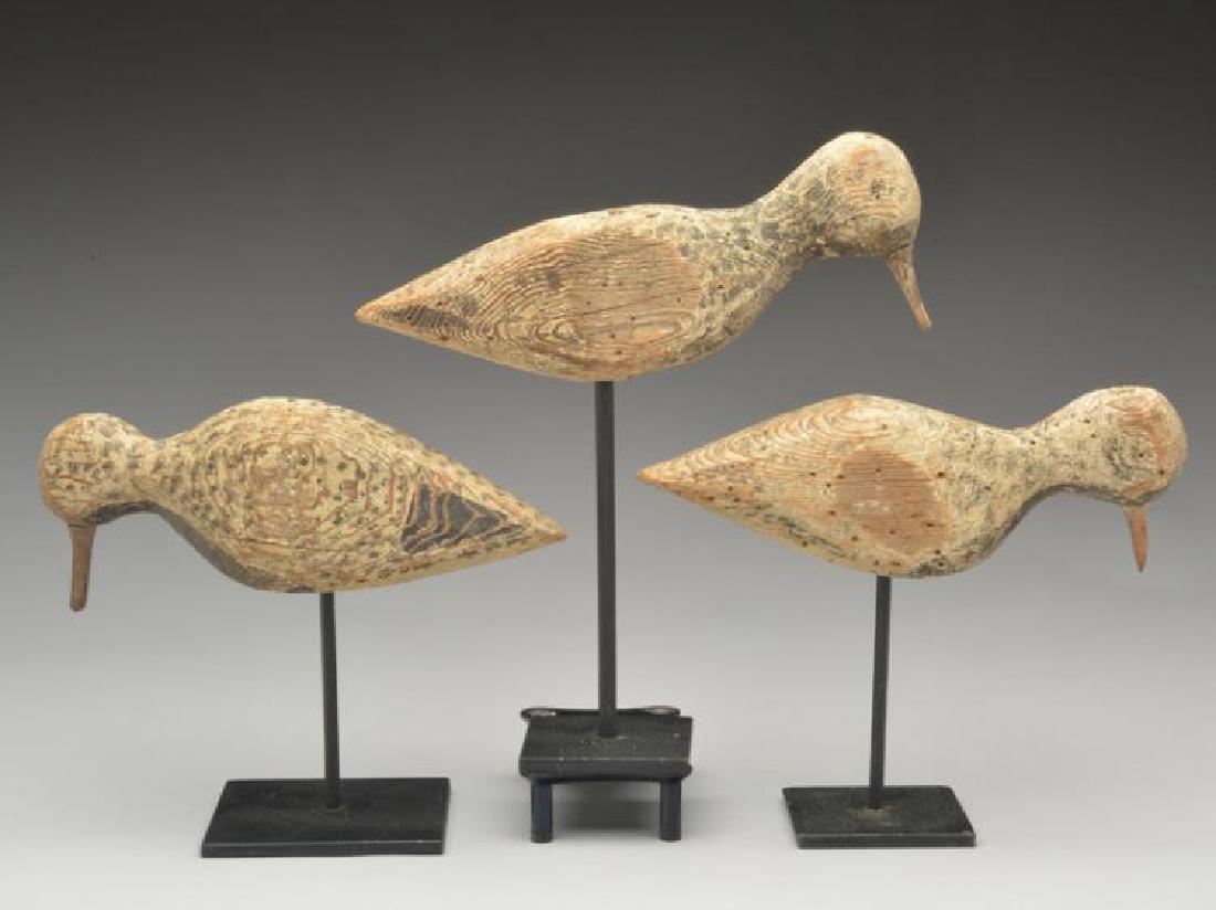 Three black bellied plover from Virginia, last quarter (1 of 1)