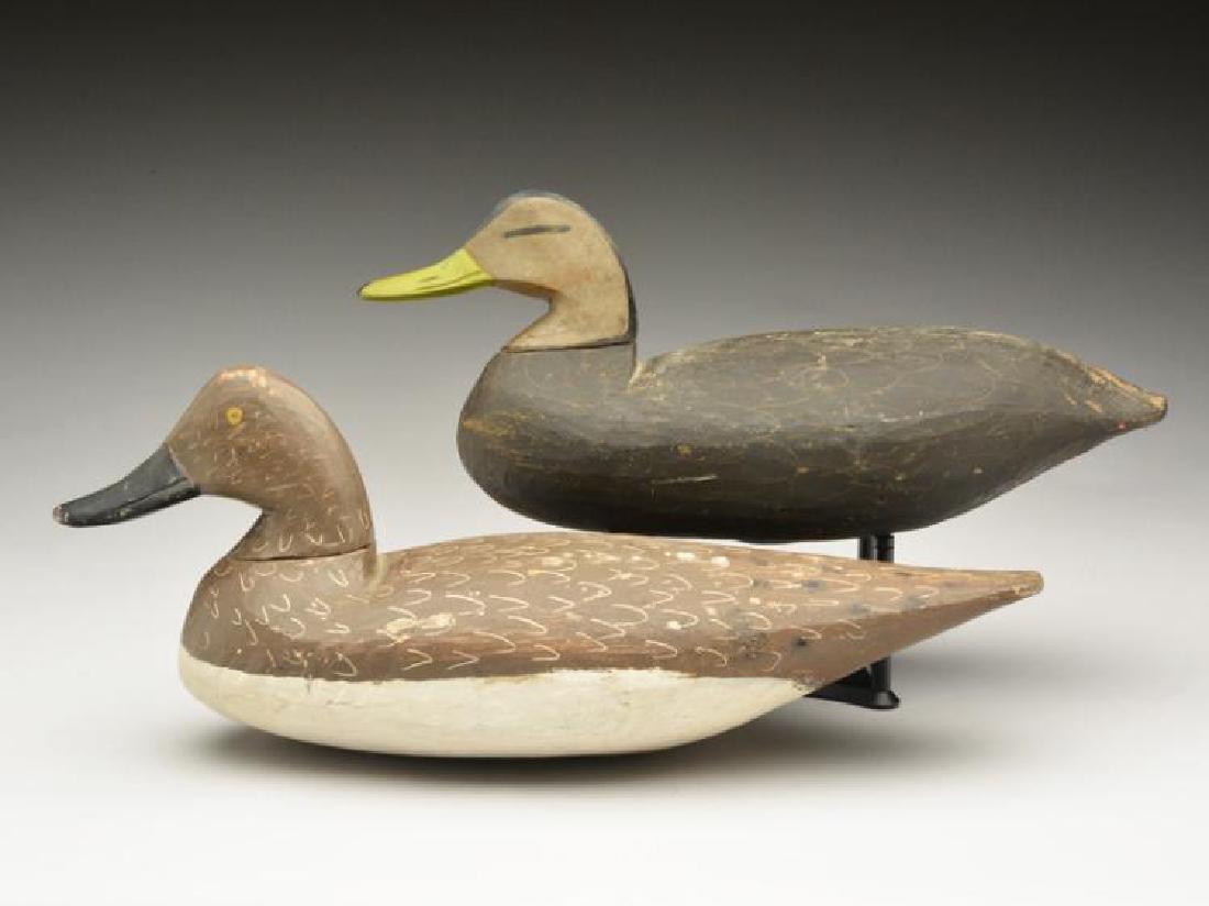 Two decoys, Doug Jester, Chincoteague, Virginia.