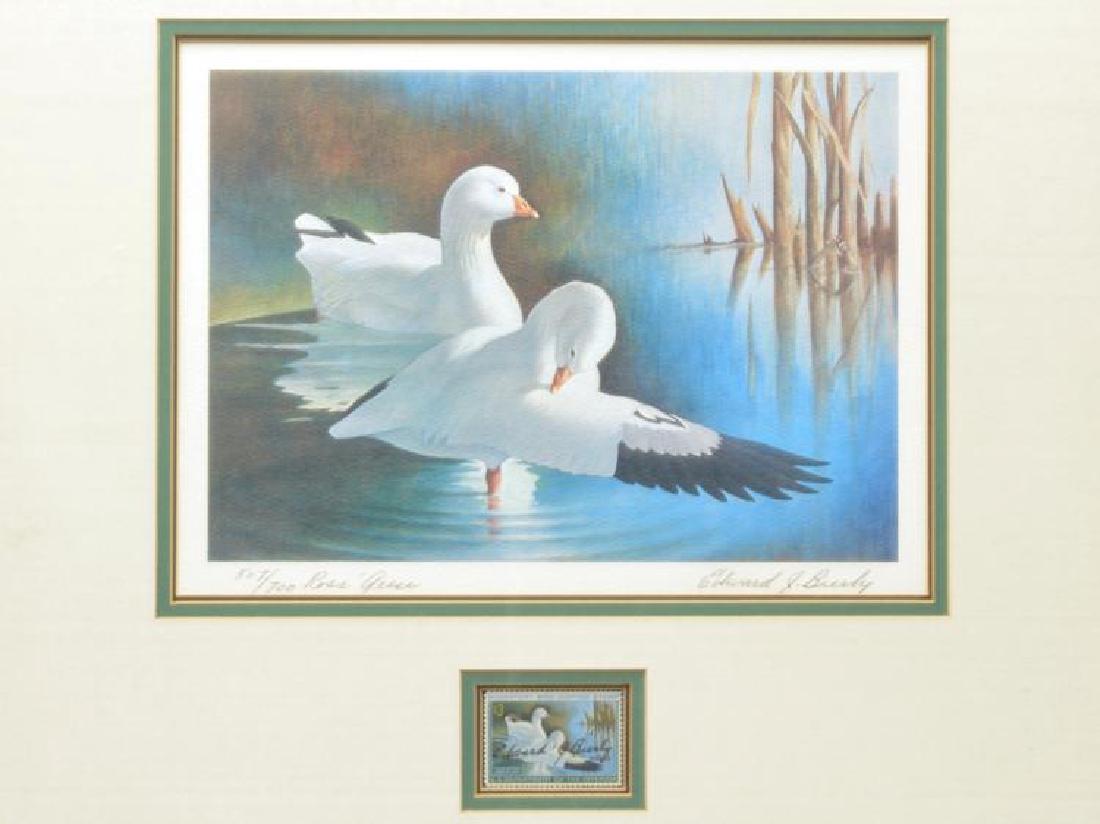 Limited edition duck stamp print, 507/700 of Ross (1 of 1)