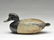 Bluebill drake, Ira Hudson, Chincoteague, Virginia.