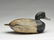 Bluebill drake, Ira Hudson, Chincoteague, Virginia. - 2