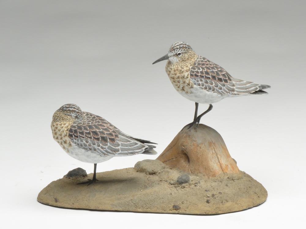 * Pair of semi palmated sandpipers, Jack Franco,: * Pair of semi palmated sandpipers, Jack Franco, Assonet, Massachusetts. Signed and dated January 1988. On wooden base with sand and stone attached. Highly detailed feather carving. Carving is 10" lon