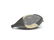Miniature bluebill drake, Joseph Lincoln, Accord, - 3