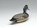 Excellent bluebill drake, Harvey Stevens, Weedsport, - 3