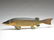 Outstanding full size carved in the round northern pike