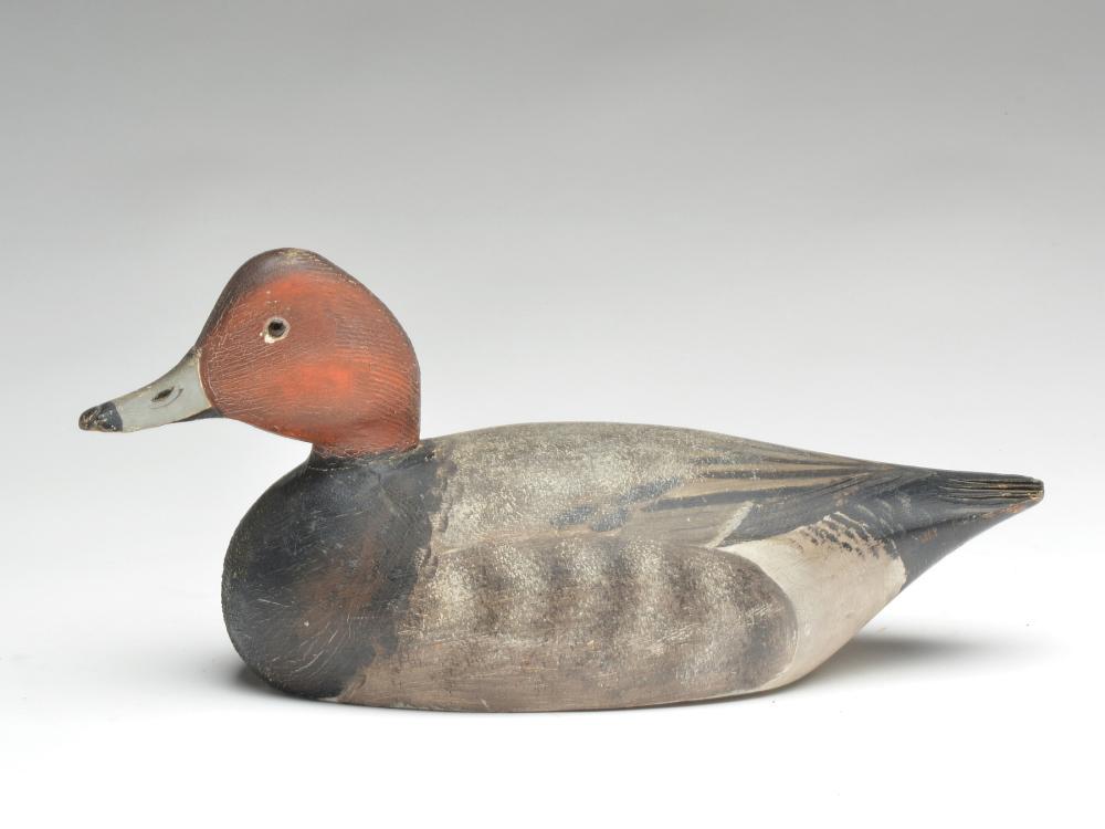Redhead drake, Elmer Crowell, East Harwich,: Redhead drake, Elmer Crowell, East Harwich, Massachusetts. Redhead drake, Elmer Crowell, East Harwich, Massachusetts. Head turned slightly to the left. Crowell’s typical rasping to rear of the head 