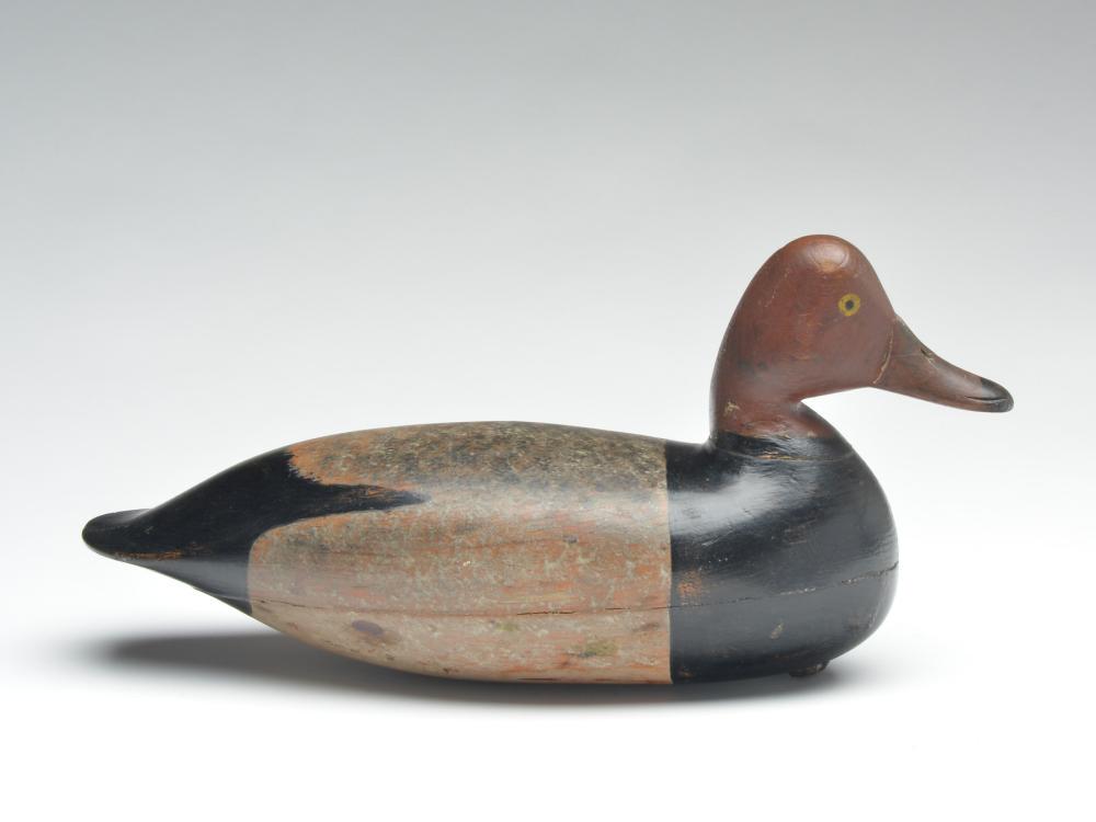 Classic redhead drake, Harry V. Shourds, Tuckerton, New: Classic redhead drake, Harry V. Shourds, Tuckerton, New Jersey. Classic redhead drake, Harry V. Shourds, Tuckerton, New Jersey. 15" long. Literature:New Jersey Decoys," Henry Fleckenstein, Jr.