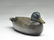 Mallard drake, Dan English, Bordentown, New Jersey. - 2