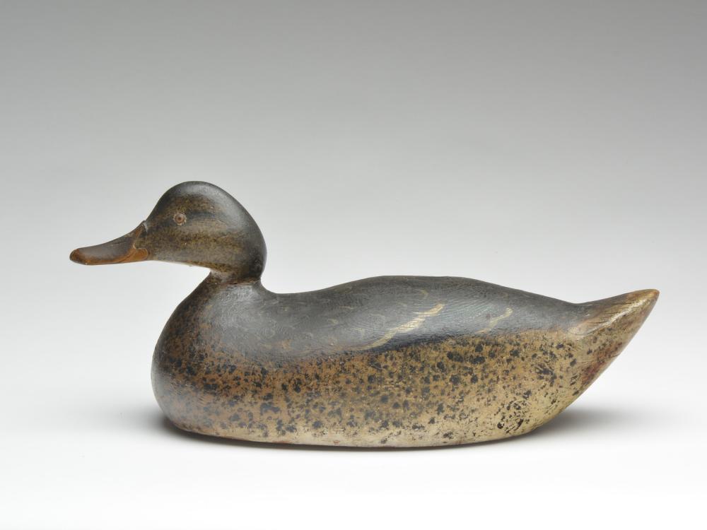 Mallard hen, Mason Decoy Factory, Detroit, Michigan.: Mallard hen, Mason Decoy Factory, Detroit, Michigan. Mallard hen, Mason Decoy Factory, Detroit, Michigan. Early premier grade, circa 1900.