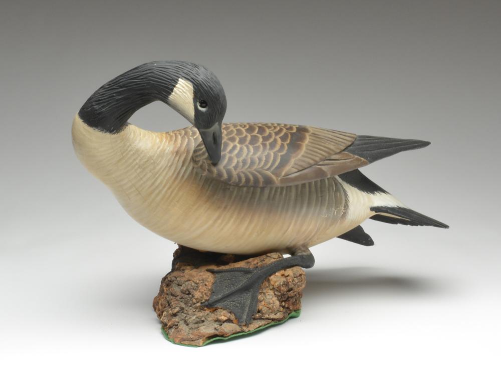Well carved preening Canada goose with lifted wings,: Well carved preening Canada goose with lifted wings, Ward Brothers, Crisfield, Maryland. Well carved preening Canada goose with lifted wings, Ward Brothers, Crisfield, Maryland. Signed "Sunbathing Lem