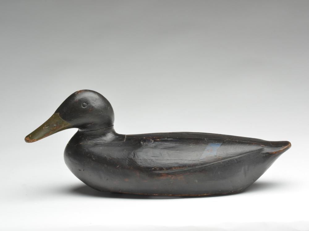Black duck, Gus Wilson, South Portland, Maine.: Black duck, Gus Wilson, South Portland, Maine. Black duck, Gus Wilson, South Portland, Maine. Slight turned inlet head. With carved eyes and relief wing carving. 17.5" long.