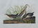 Original aquatint engraving, John James Audubon