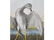 Original aquatint engraving, John James Audubon - 2