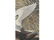 Original aquatint engraving, John James Audubon - 5