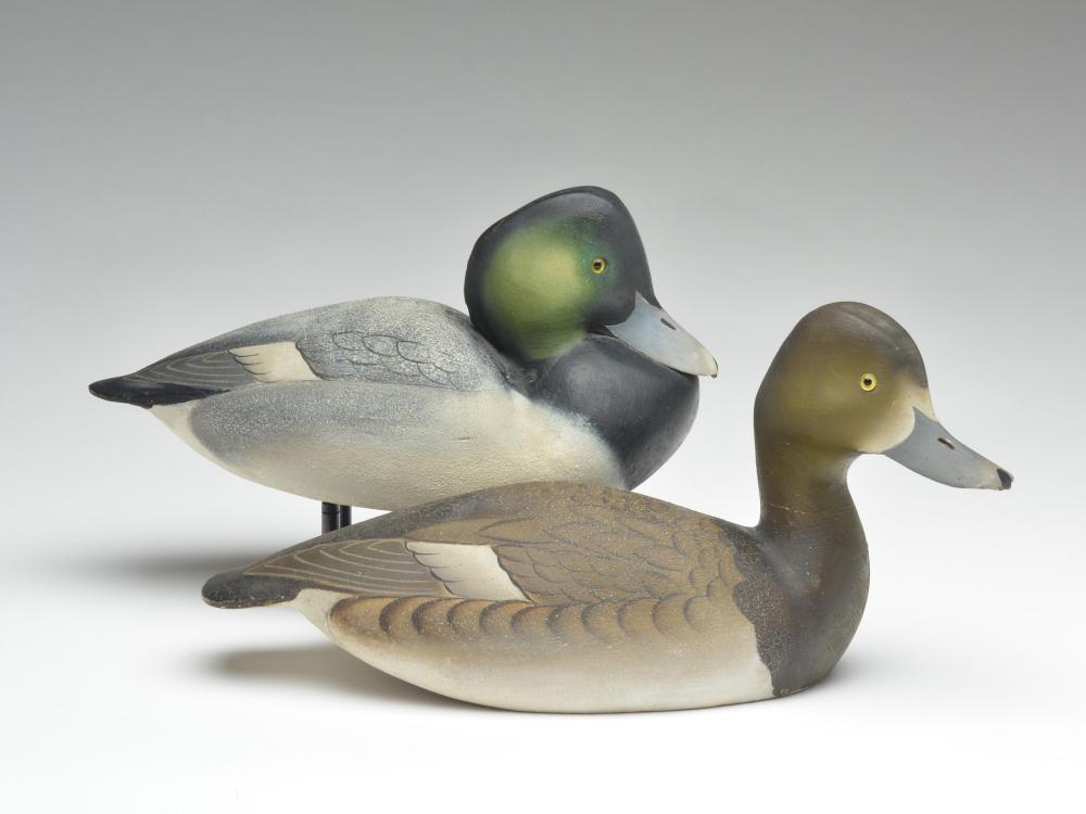 Rigmate pair of bluebills, Ward Brothers, Crisfield,: Rigmate pair of bluebills, Ward Brothers, Crisfield, Maryland. Rigmate pair of bluebills, Ward Brothers, Crisfield, Maryland. 1930 models. Drake is in rare tucked head pose. Hen has slightly turned an