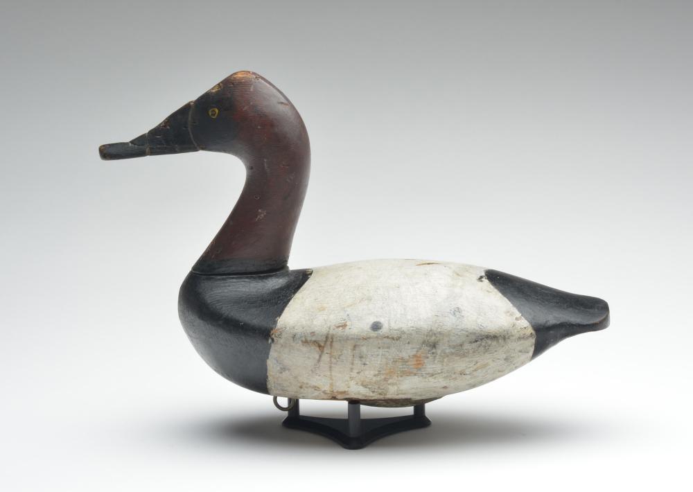 High neck canvasback drake, Charles Nelson Barnard,: High neck canvasback drake, Charles Nelson Barnard, Havre de Grace, Maryland, circa 1900. 10" tall. Condition Appealing old in use repaint; paint on head appears to be original; working repair to appr