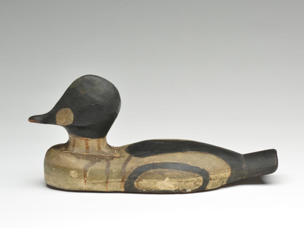 Goldeneye drake from Lunenburg, Nova Scotia. (1 of 3)