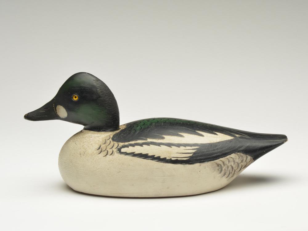 Goldeneye drake, Elmer Crowell, East Harwich, (1 of 3)