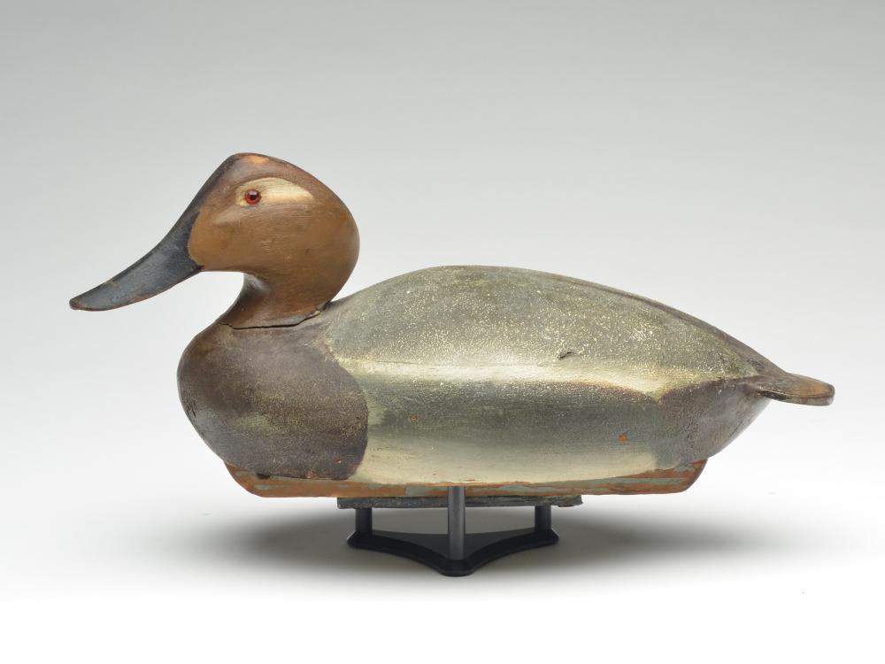 1948 model canvasback hen, Ward Brothers, Crisfield,: 1948 model canvasback hen, Ward Brothers, Crisfield, Maryland. 16.75" long. 1948 model with slightly turned cedar head and inserted cedar tail and balsa body. Notes: Decoy