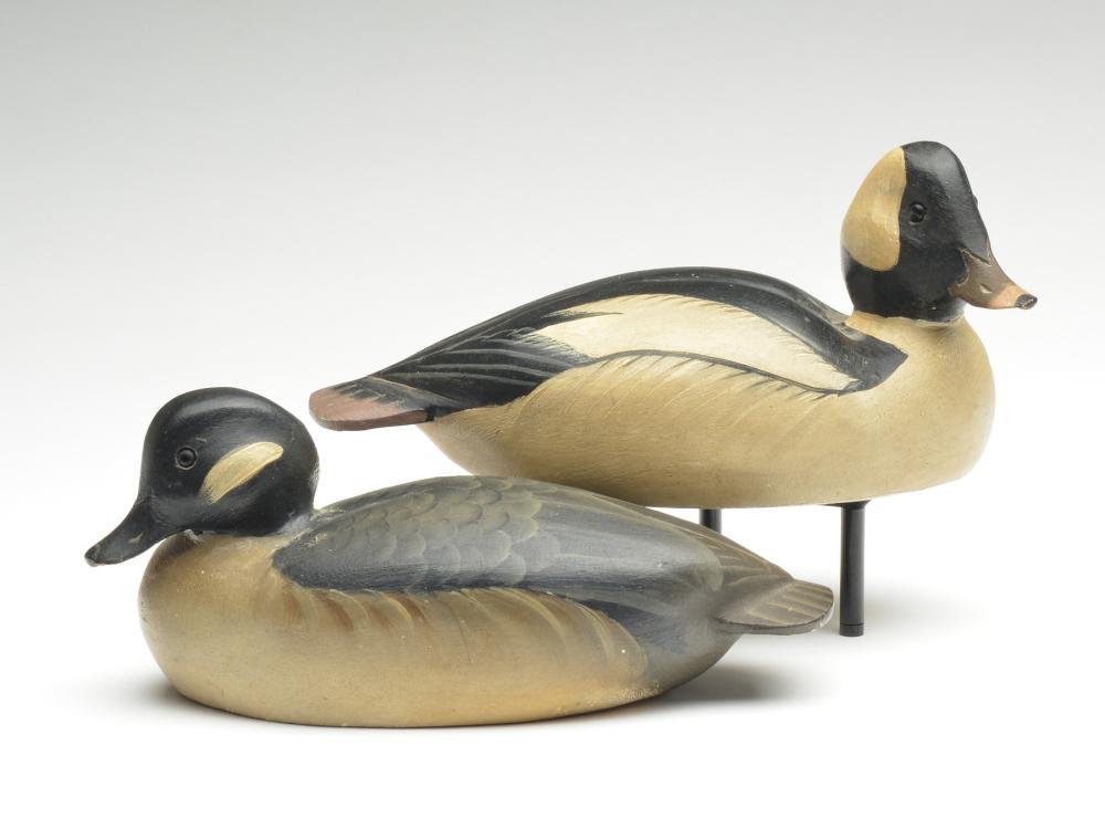 Rigmate pair of buffleheads, Ward Brothers, Crisfield, (1 of 3)