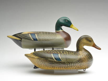 Pair of mallards, Charles Perdew, Henry, Illinois.: Pair of mallards, Charles Perdew, Henry, Illinois. 15.5" long. Both have slghty turned heads. Extra feather paint detail on lower sides of hen. Provenance: Formerly in collection of Otto Meyer. Notes: