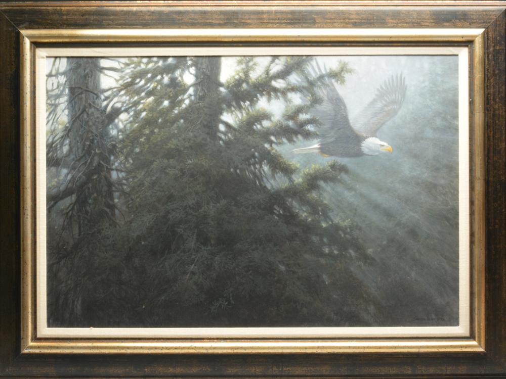 Oil on board of eagle flying through pine forest, John (1 of 1)
