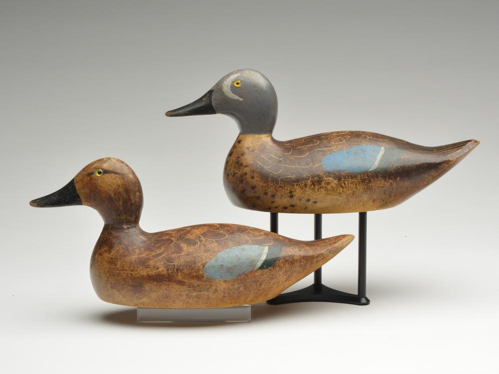 Desirable pair of bluewing teal, Evans Decoy Factory, (1 of 3)