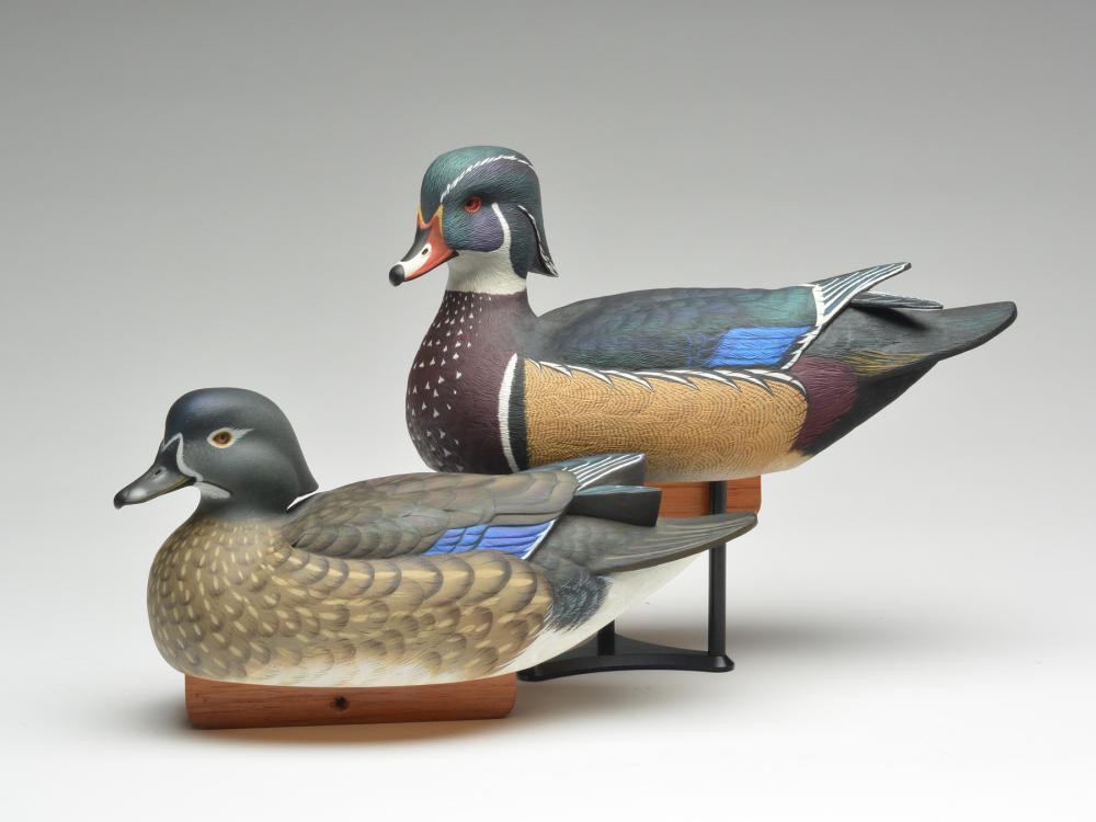 Pair of wood ducks, Jimmie Vizier, Galliano, Louisiana. (1 of 3)