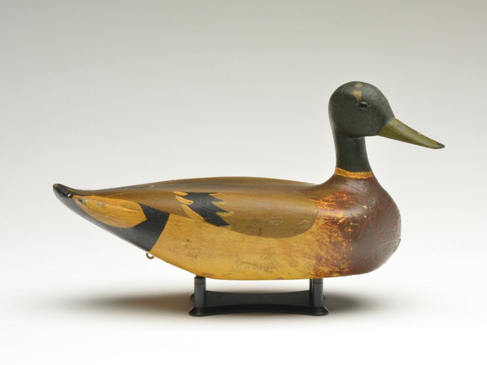 Mallard drake, Oscar Alford, Beardstown, Illinois, 1st (1 of 4)