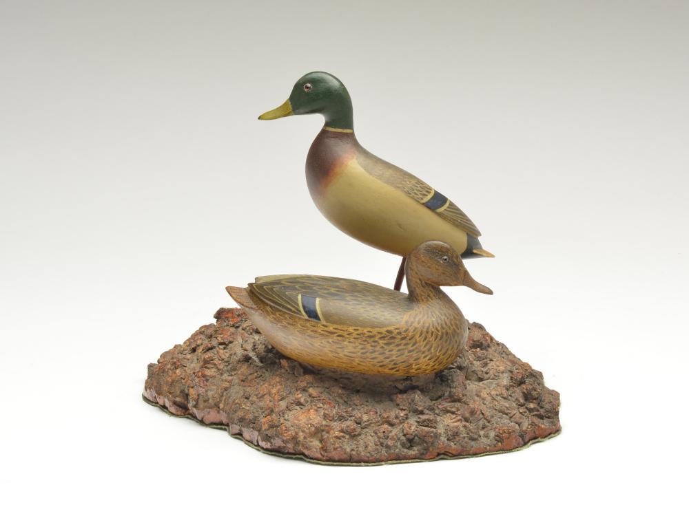 Excellent pair of miniature mallards mounted on burl (1 of 5)