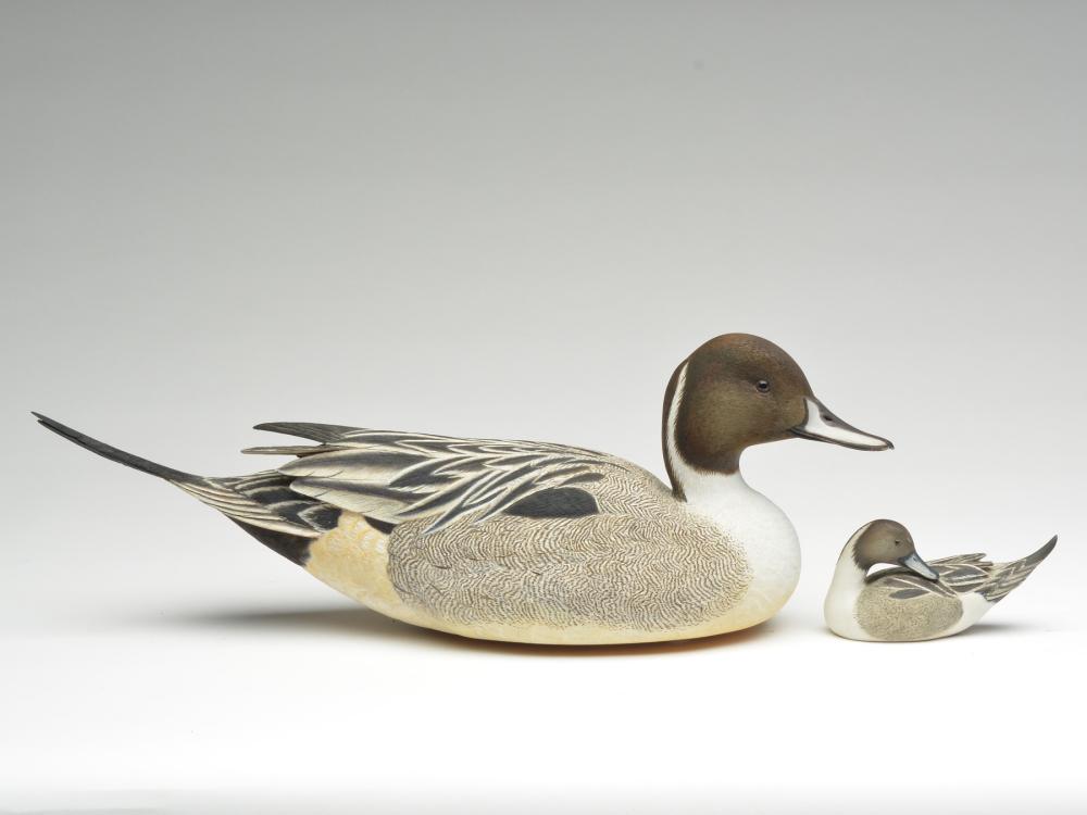 Pintail with matching miniature Carl Danos, Houma, (1 of 3)