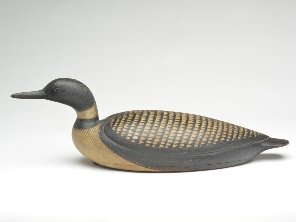 Loon, Mark McNair, Craddockville, Virginia. (1 of 3)