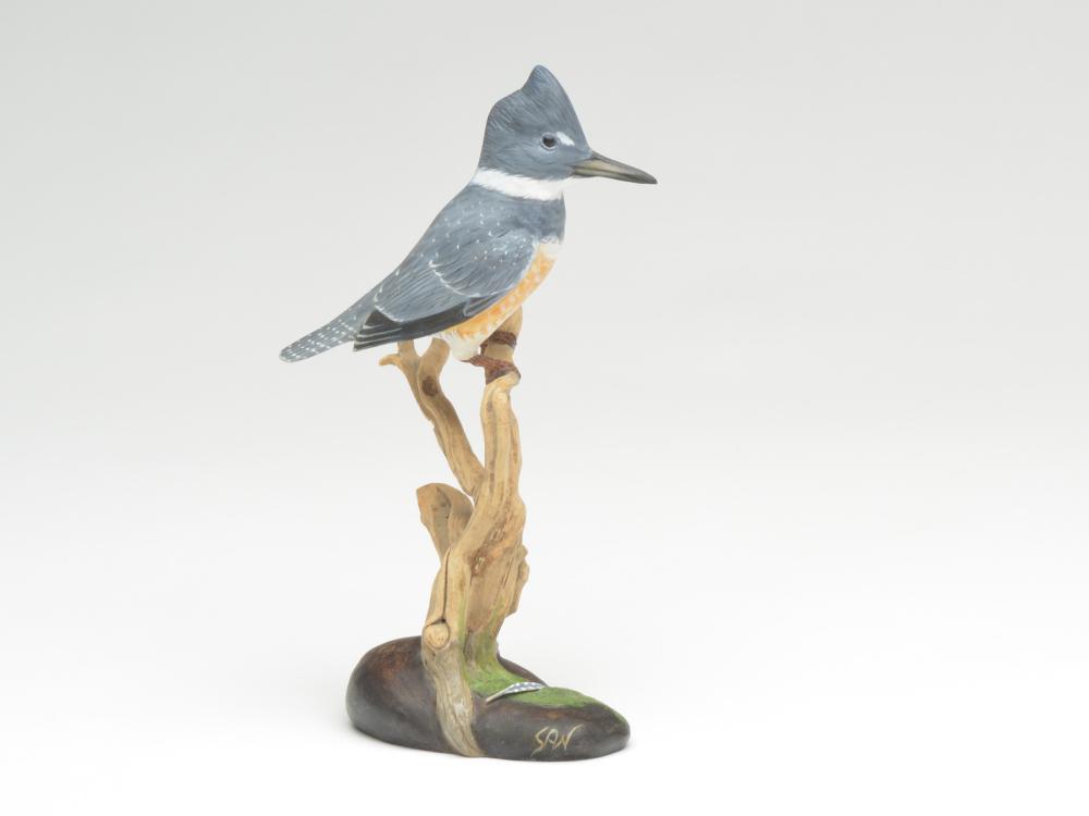 Miniature belted kingfisher, Steve Weaver, Cape Cod, (1 of 3)