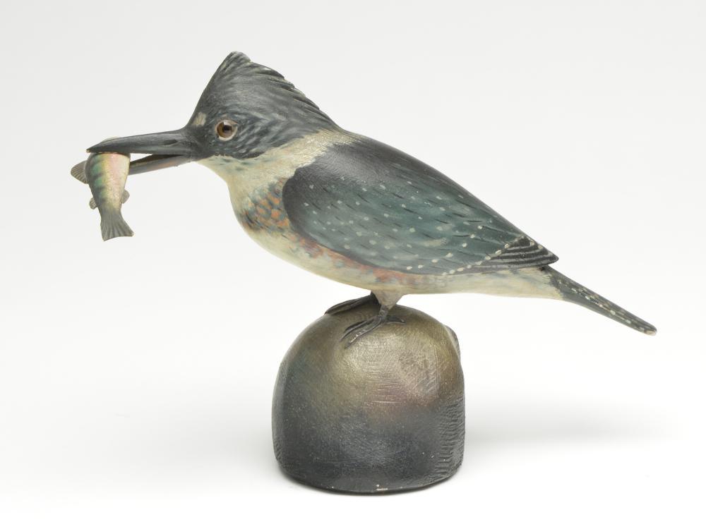 Impressive male kingfisher poised on a rock, Elmer (1 of 5)