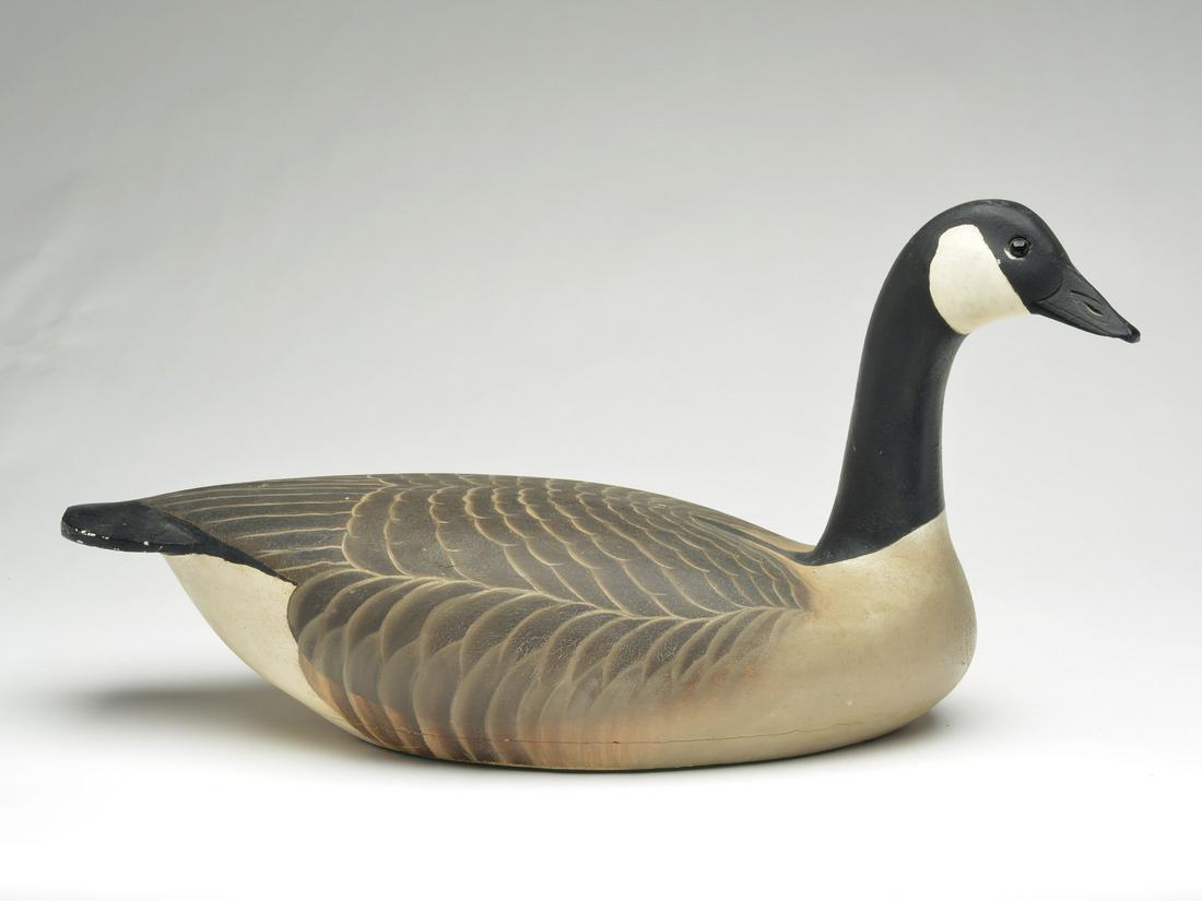 Impressive Canada goose, Ward Brothers, Crisfield, (1 of 4)