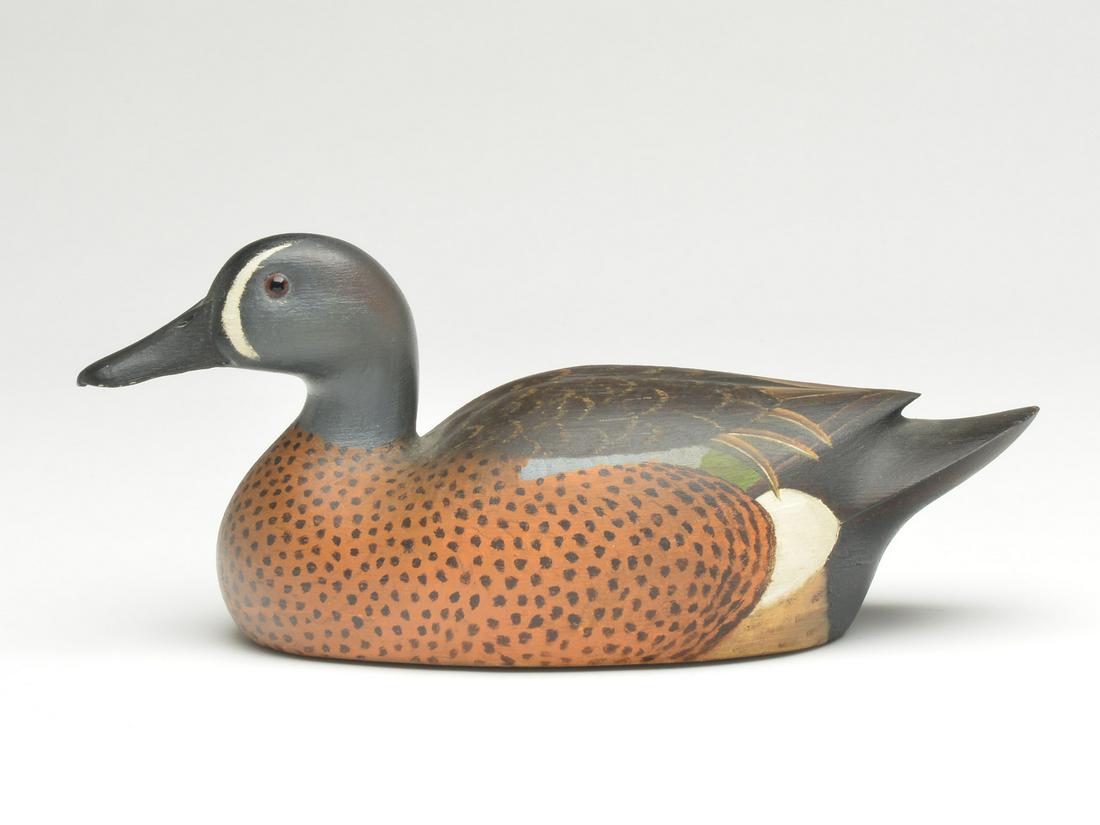 Bluewing teal drake, Harold Haertel, Dundee, Illinois. (1 of 3)