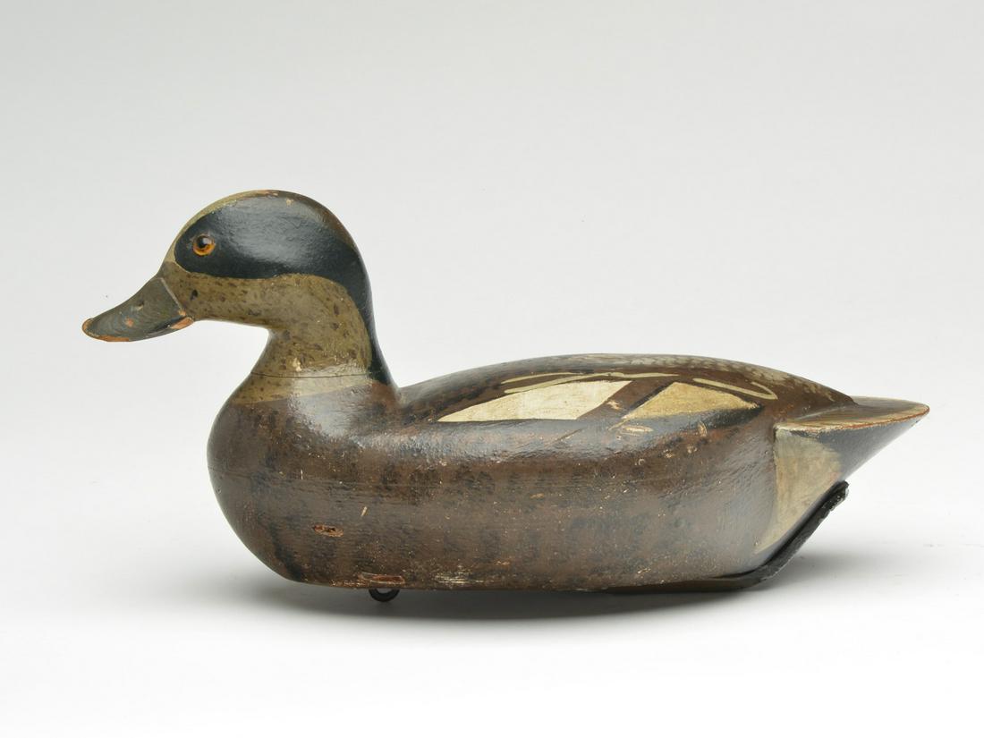 Widgeon drake, George Kessler, Pekin, Illinois. (1 of 3)