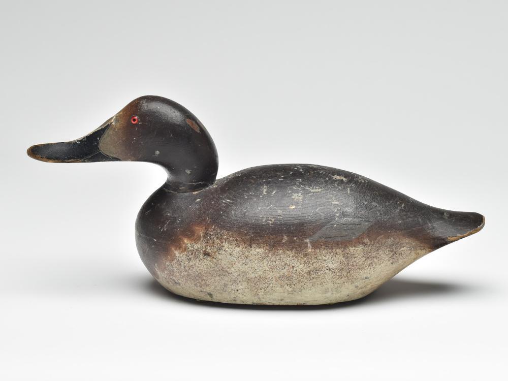 Canvasback hen, Mason Decoy Factory, Detroit, Michigan, (1 of 4)