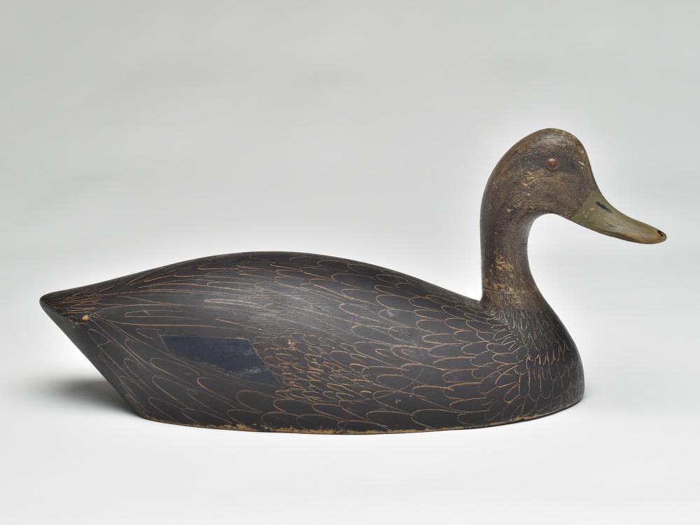 Black duck, Charles Buchanan, Gananaque, Ontario, 2nd (1 of 3)