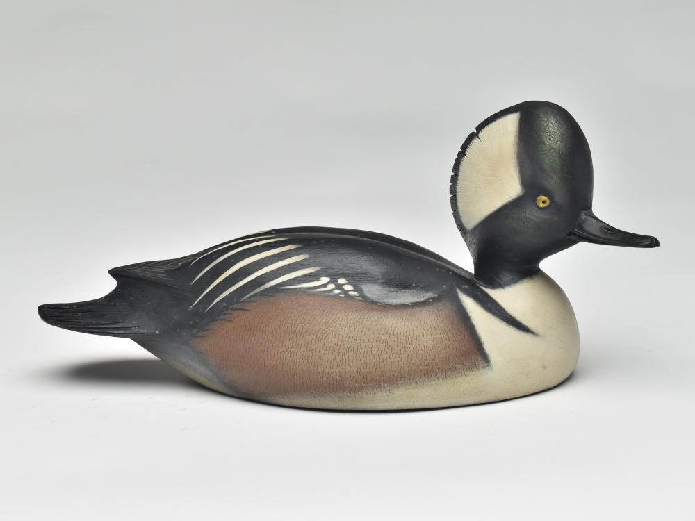 Hooded merganser drake, Jim Schmiedlin, Bradfordwoods, (1 of 3)