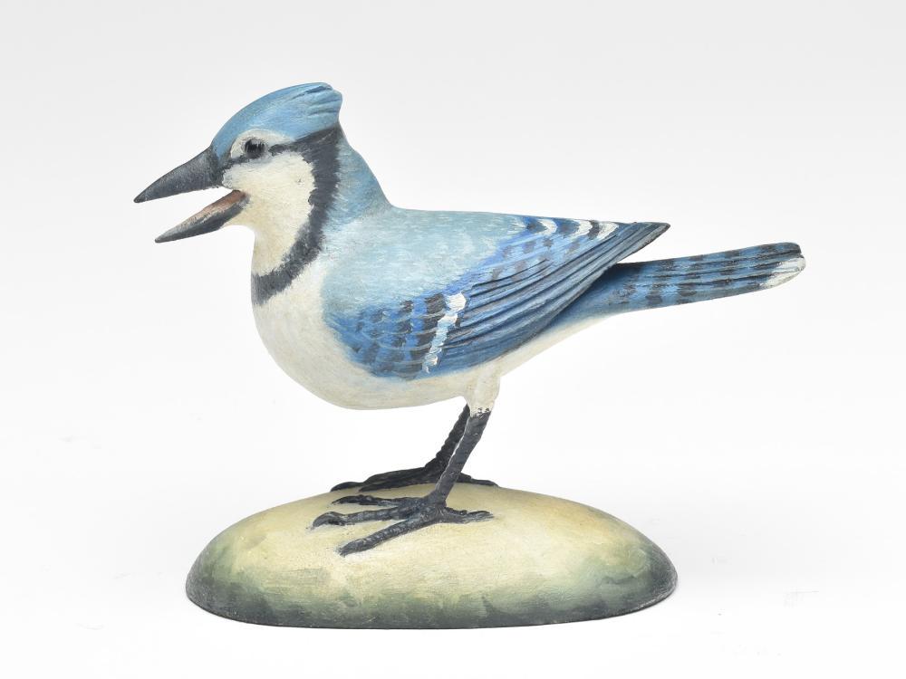 Miniature blue jay, Frank Finney, Cape Charles, (1 of 3)