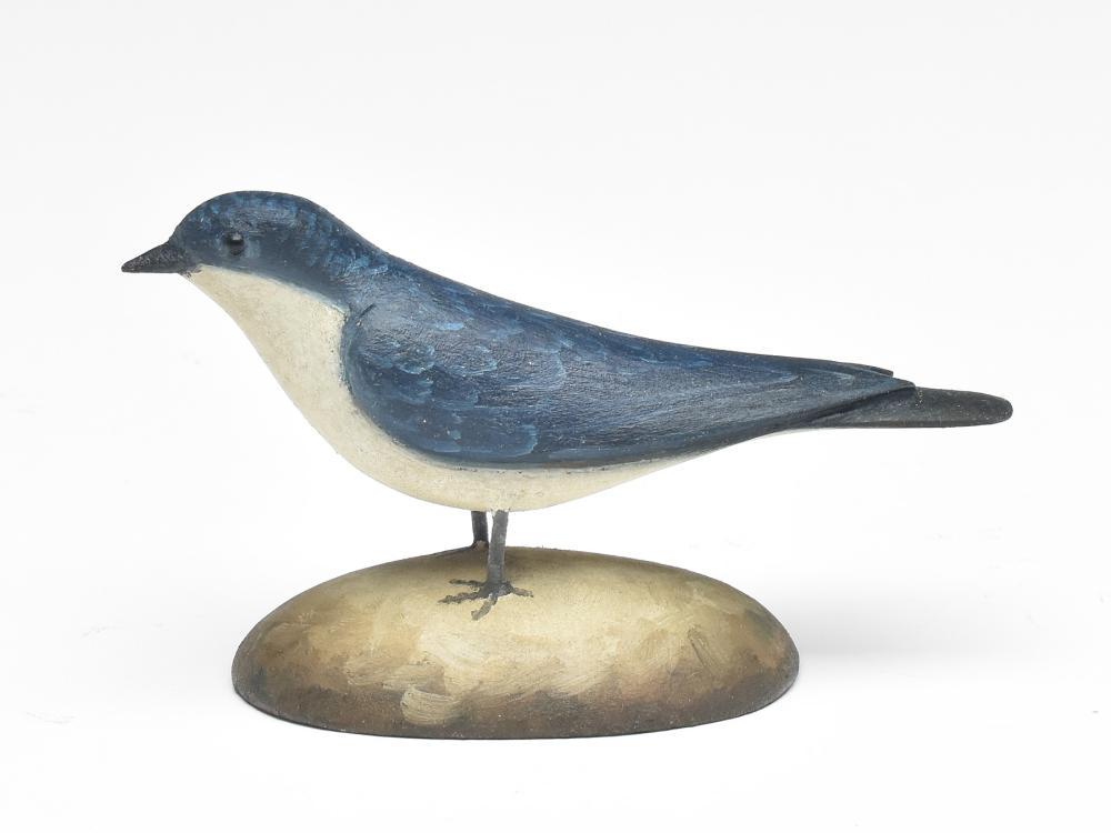 Miniature tree swallow, Frank Finney, Cape Charles, (1 of 3)