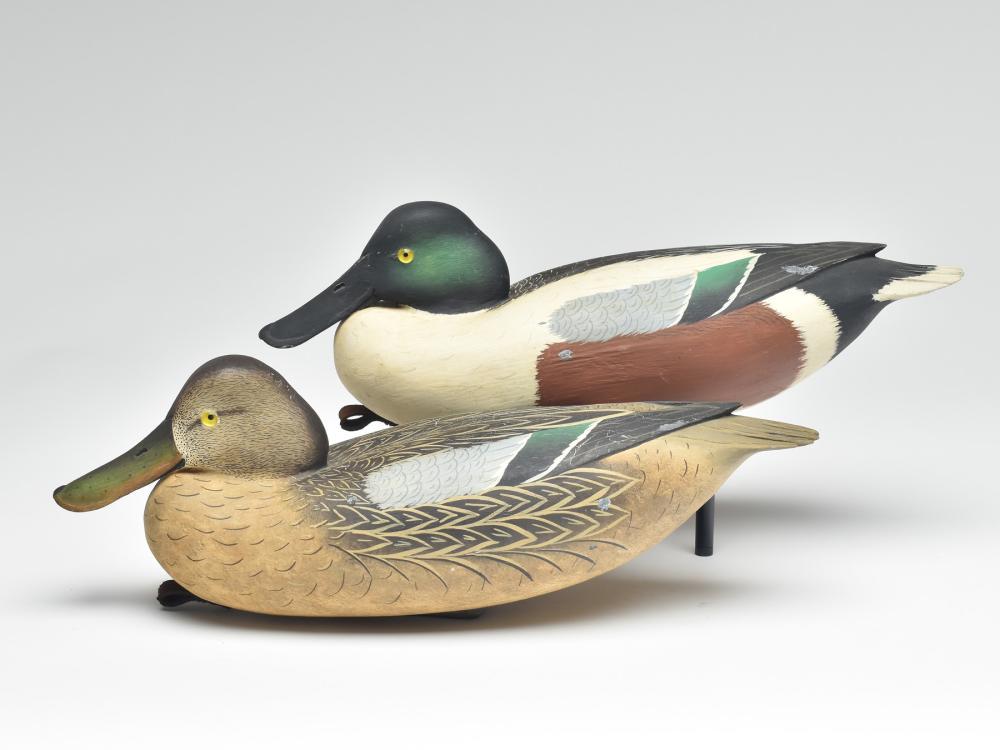 Pair of shovelers, Bob White, Tullytown, Pennsylvania. (1 of 4)